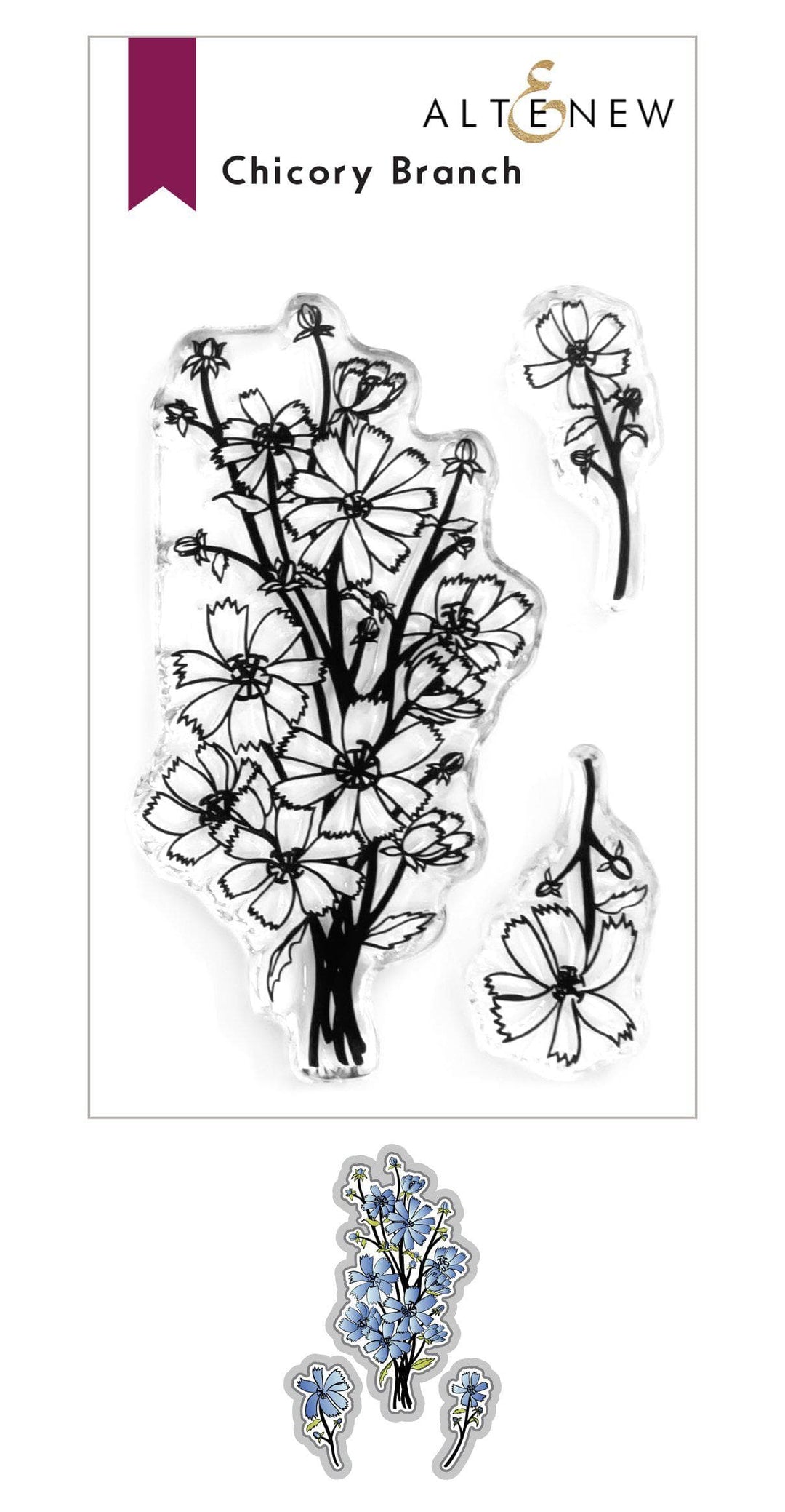 Stamp & Die Bundle Chicory Bunch