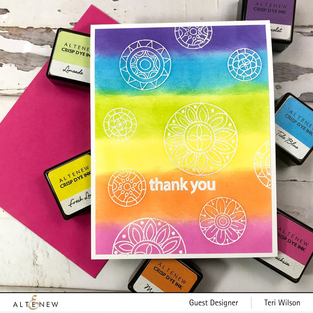 Stamp & Die Bundle Circle Delights
