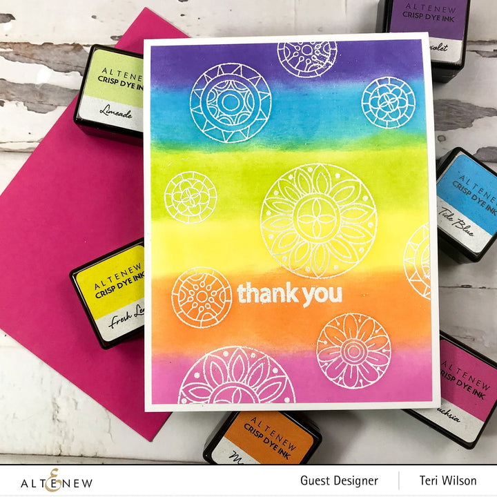 Stamp & Die Bundle Circle Delights