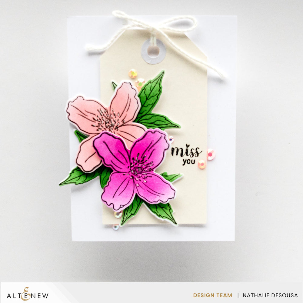 Stamp & Die Bundle Clematis Montana