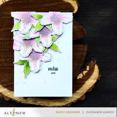 Stamp & Die Bundle Clematis Montana
