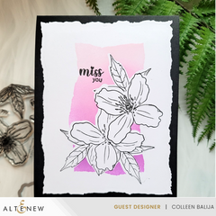 Stamp & Die Bundle Clematis Montana