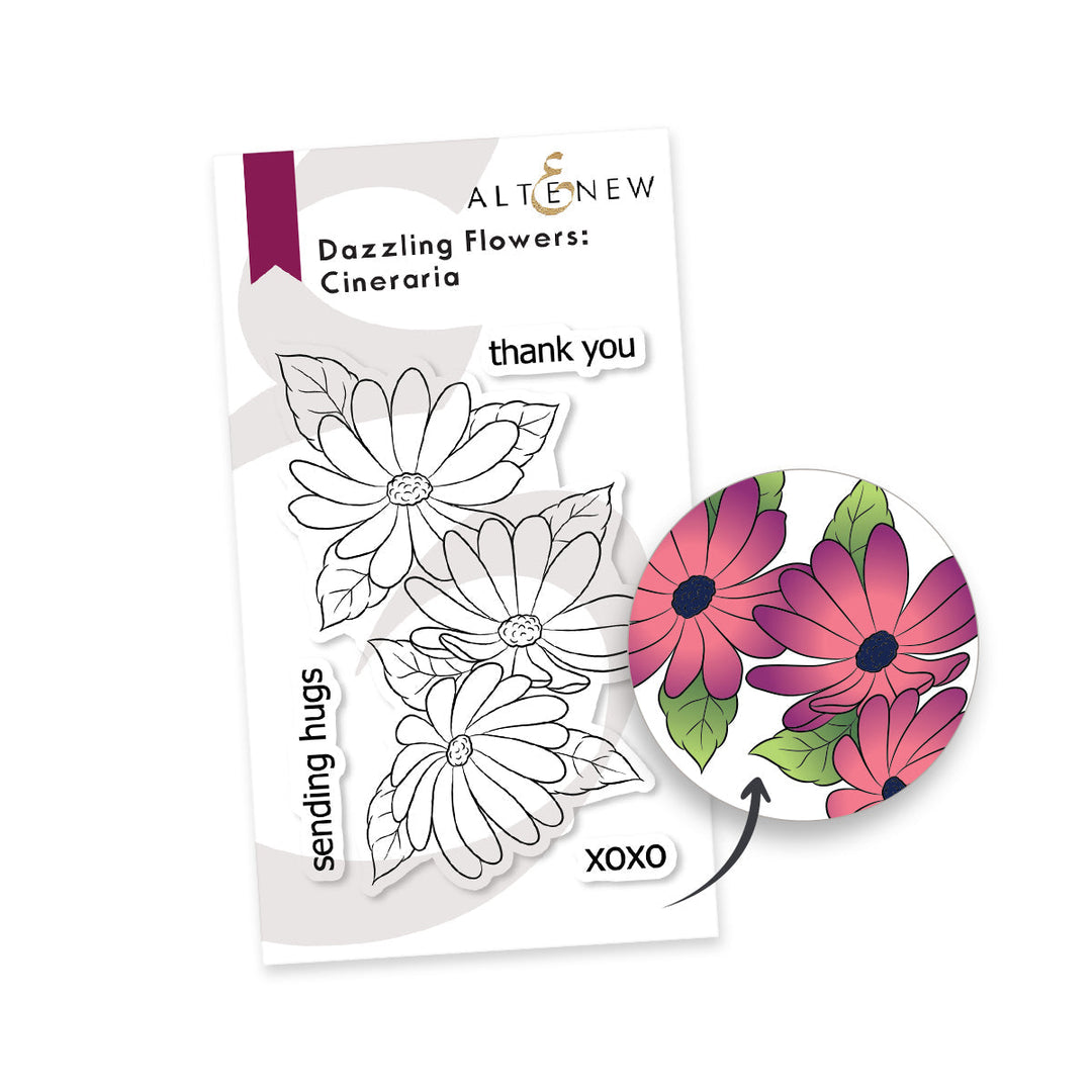 Stamp & Die Bundle Dazzling Flowers - Cineraria