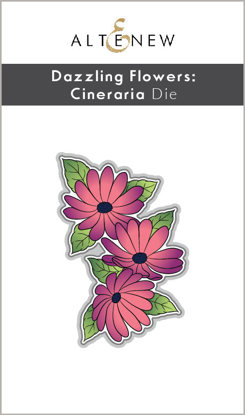 Stamp & Die Bundle Dazzling Flowers - Cineraria