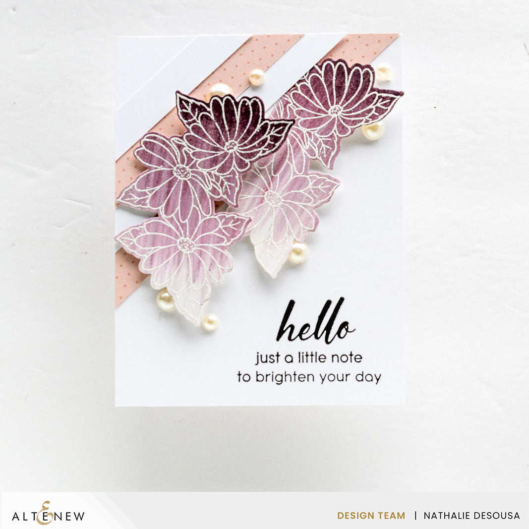 Stamp & Die Bundle Dazzling Flowers - Cineraria