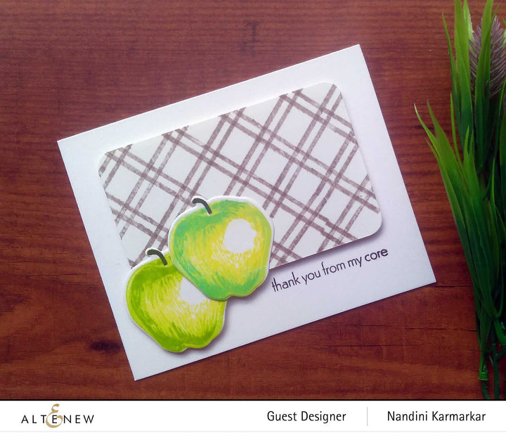 Stamp & Die Bundle Educators Rule