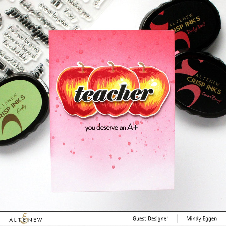 Stamp & Die Bundle Educators Rule