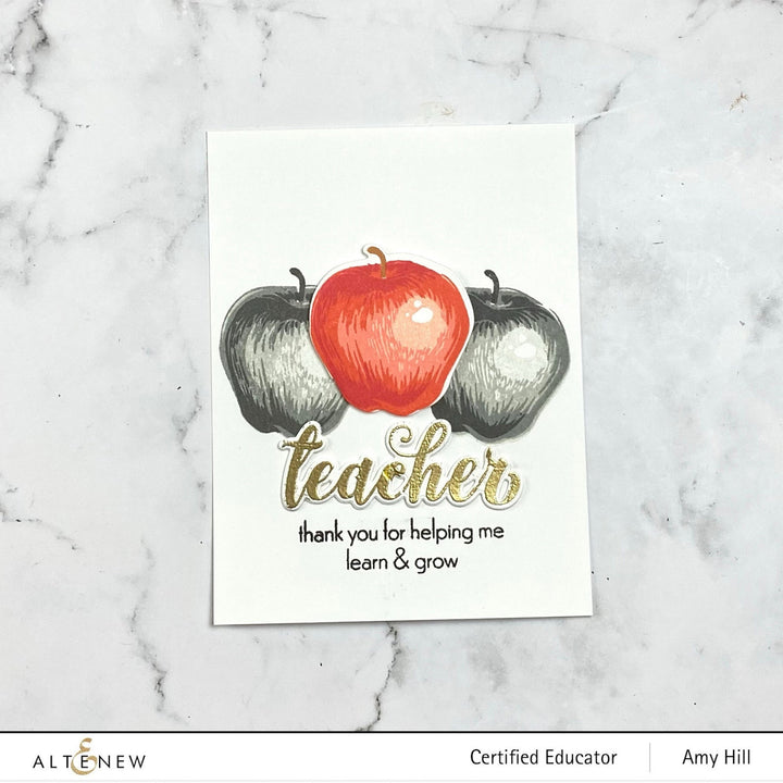 Stamp & Die Bundle Educators Rule