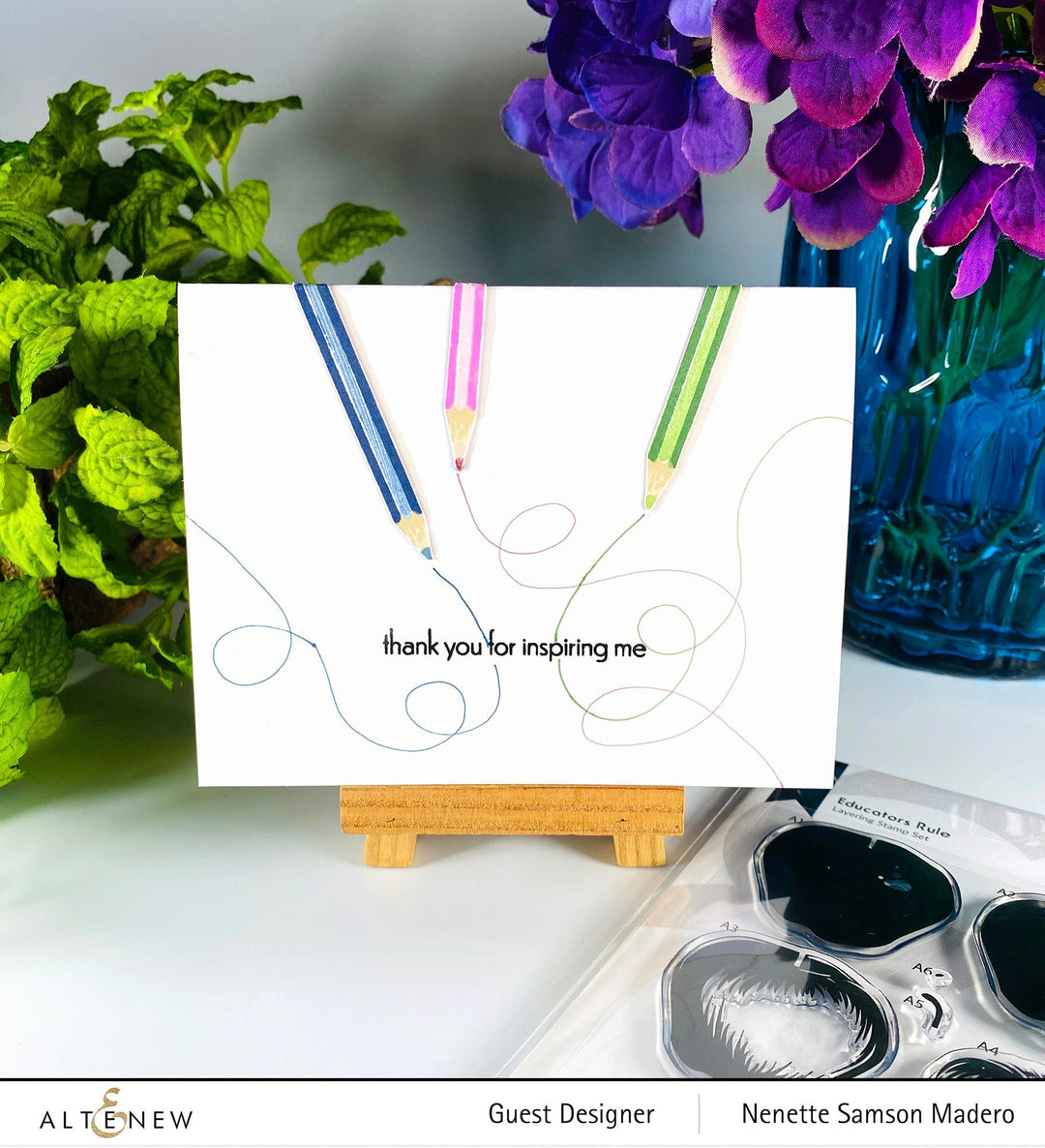 Stamp & Die Bundle Educators Rule