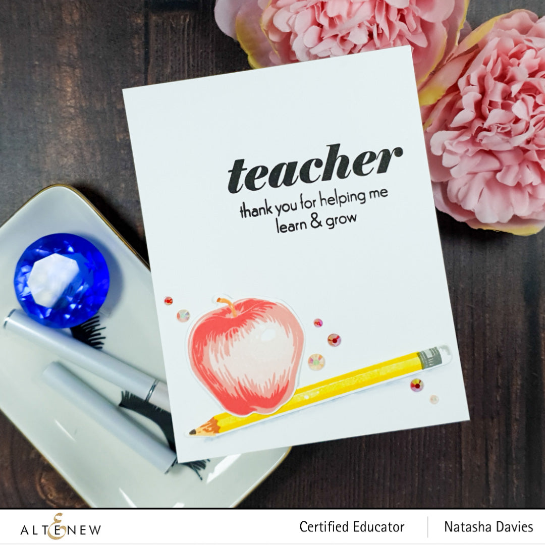 Stamp & Die Bundle Educators Rule