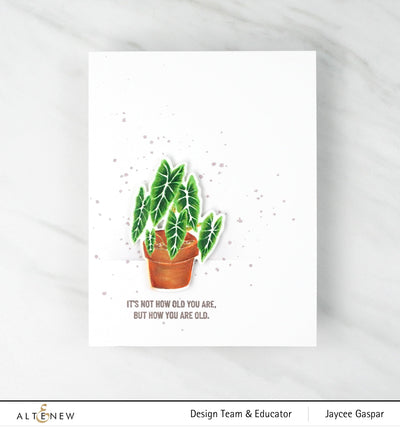 Stamp & Die Bundle Elegant Alocasia