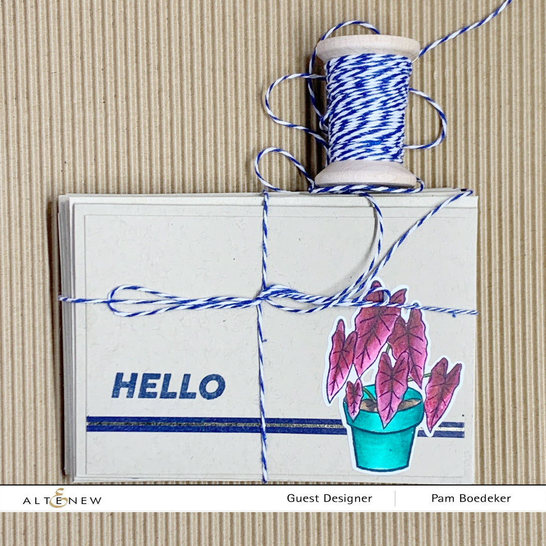 Stamp & Die Bundle Elegant Alocasia