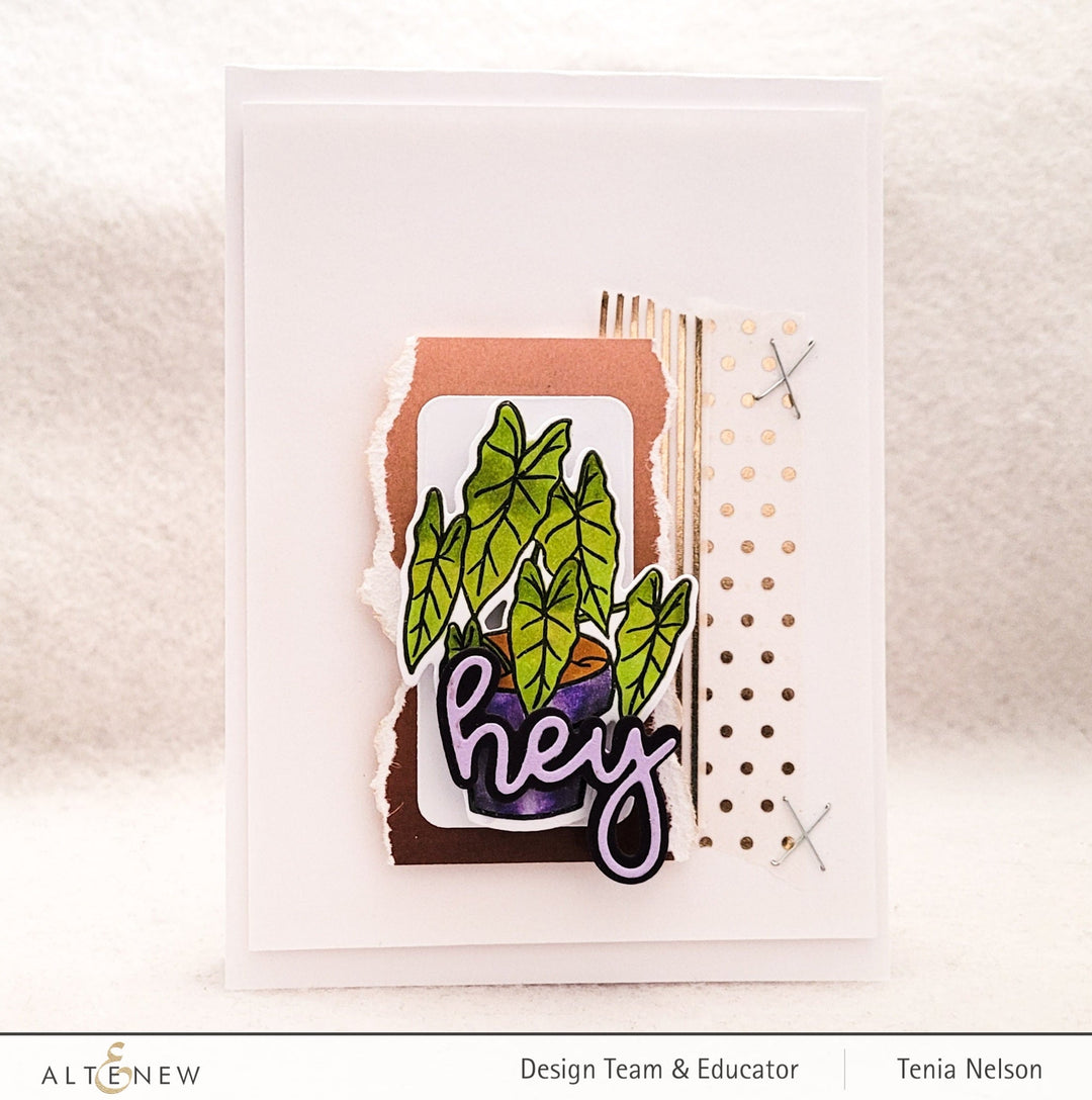 Stamp & Die Bundle Elegant Alocasia