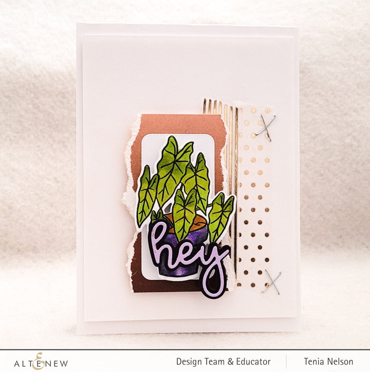 Stamp & Die Bundle Elegant Alocasia