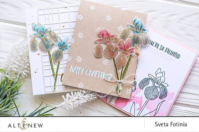 Stamp & Die Bundle Enchanted Iris