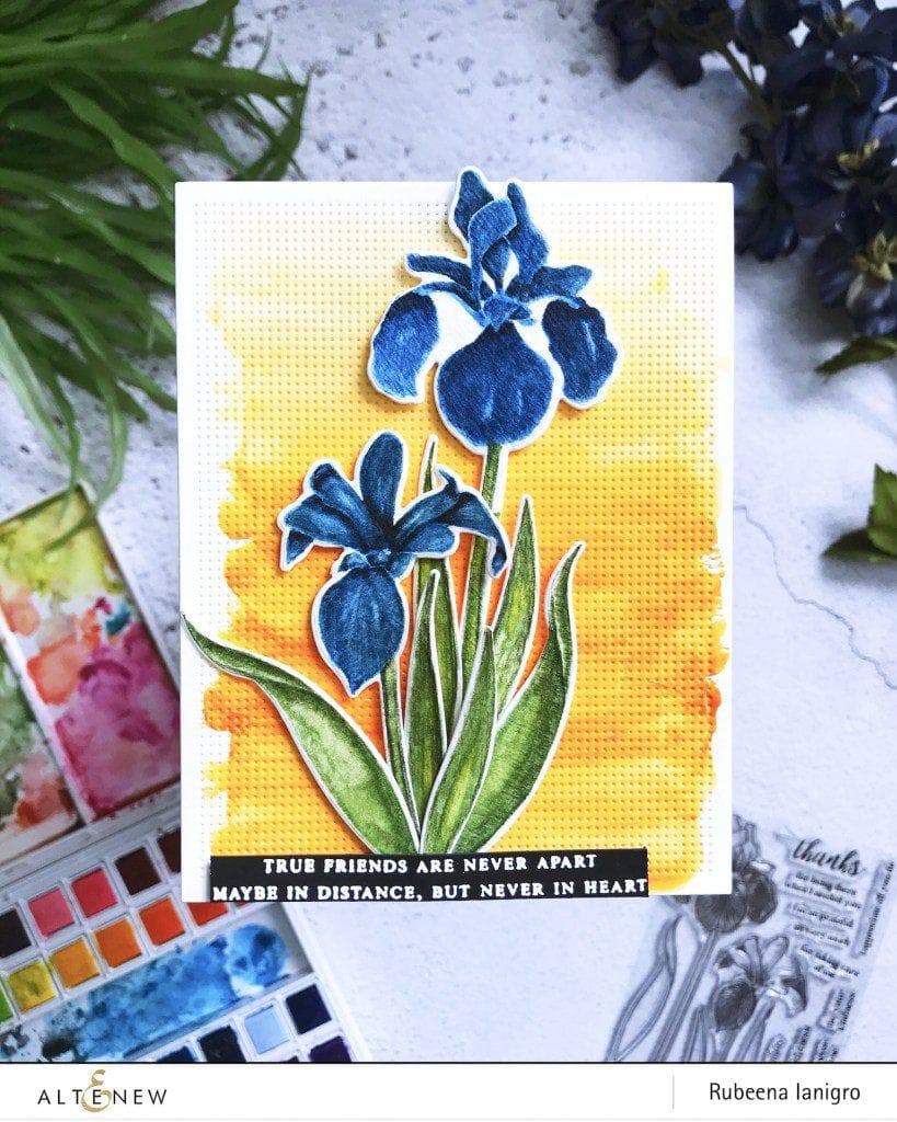 Stamp & Die Bundle Enchanted Iris