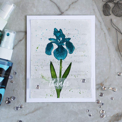 Stamp & Die Bundle Enchanted Iris