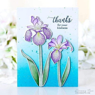 Stamp & Die Bundle Enchanted Iris