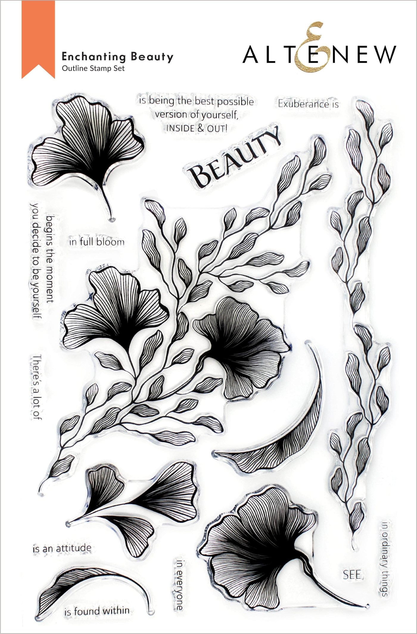 Stamp & Die Bundle Enchanting Beauty