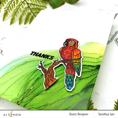 Stamp & Die Bundle Exotic Parrot