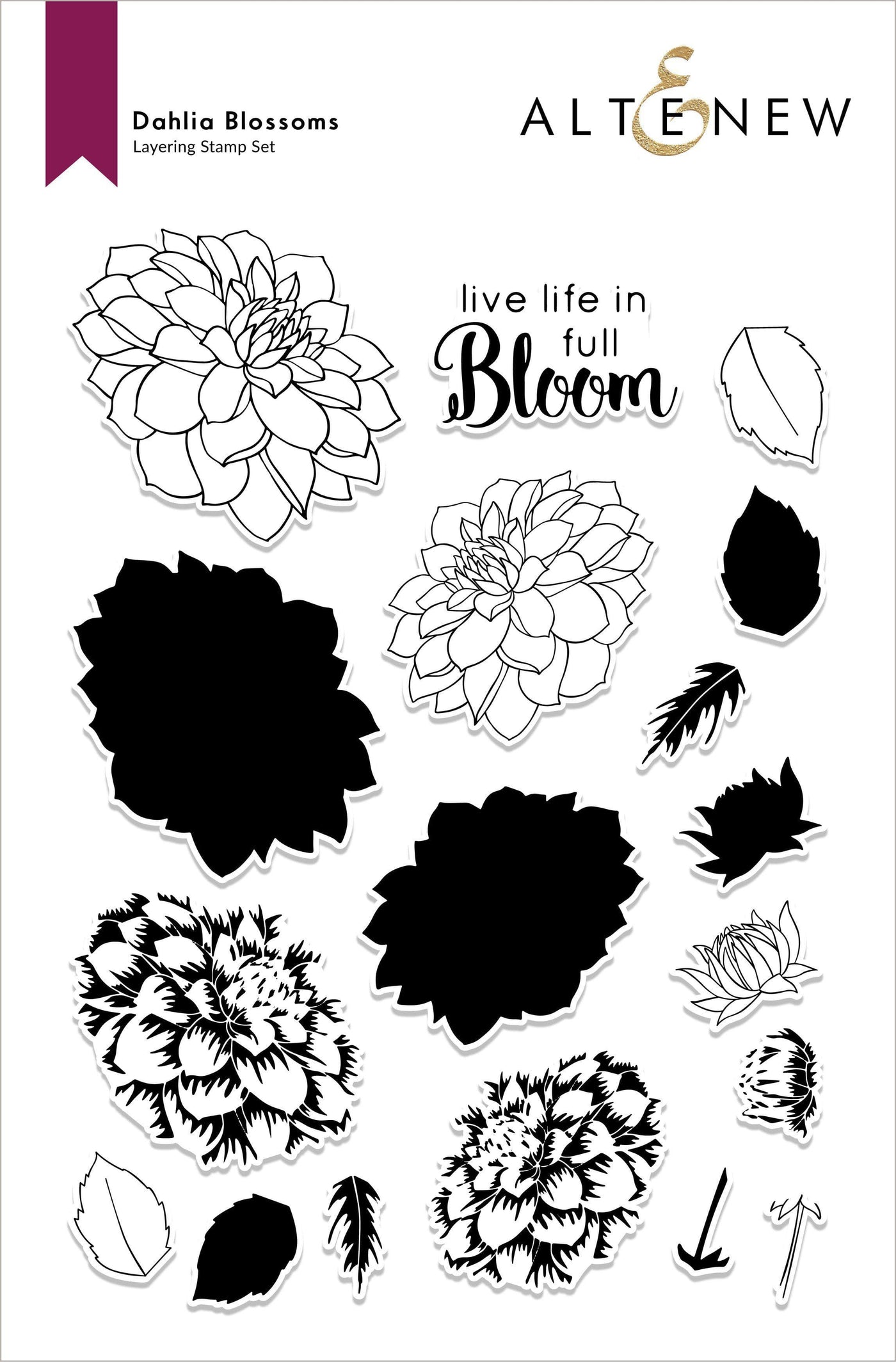 Stamp & Die Bundle Fan Favorites: Dahlia Blossoms Complete Stamp & Die Bundle