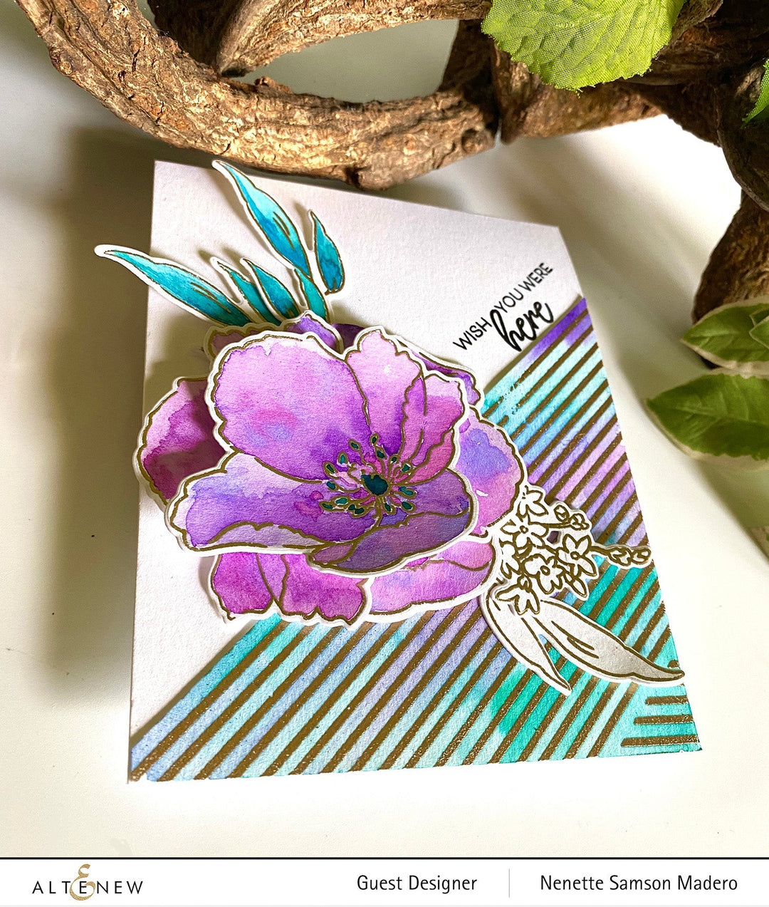 Stamp & Die Bundle Fresh Bloom