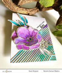 Stamp & Die Bundle Fresh Bloom