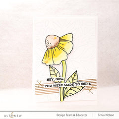 Stamp & Die Bundle Here For You
