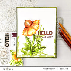 Stamp & Die Bundle Here For You