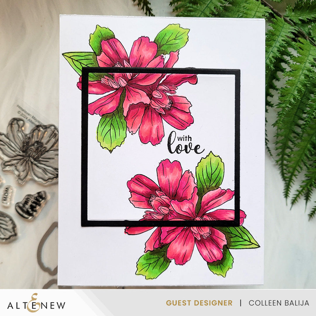 Stamp & Die Bundle Himalayan Mayapple