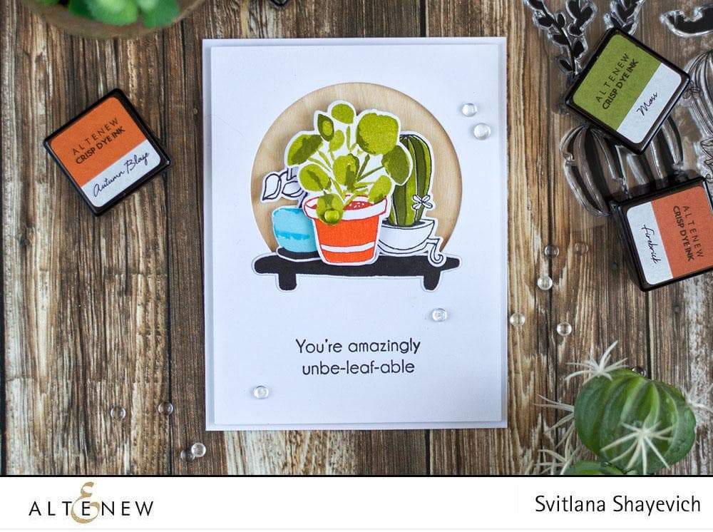 Stamp & Die Bundle Indoor Garden