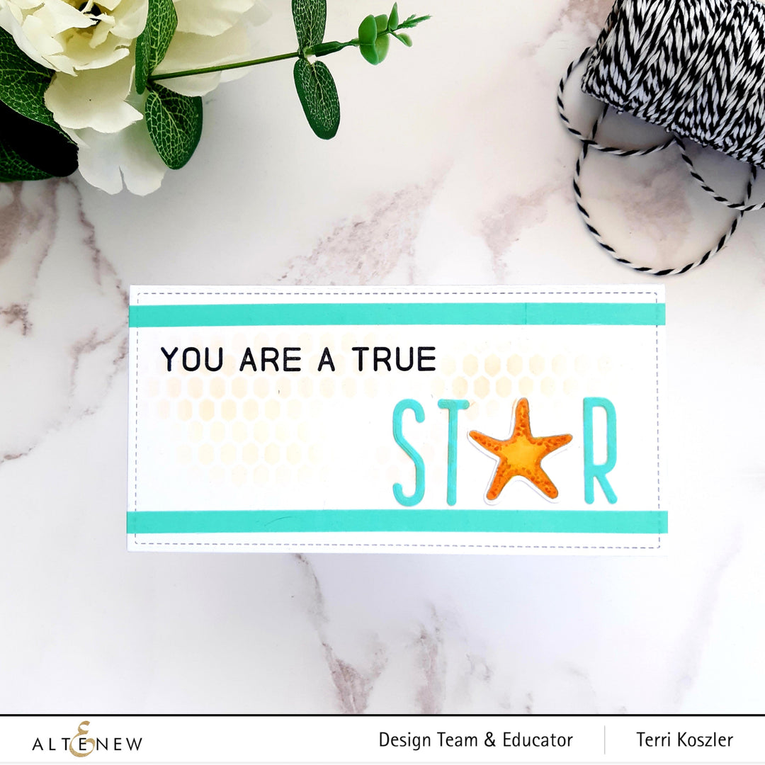 Stamp & Die Bundle Little Starfish