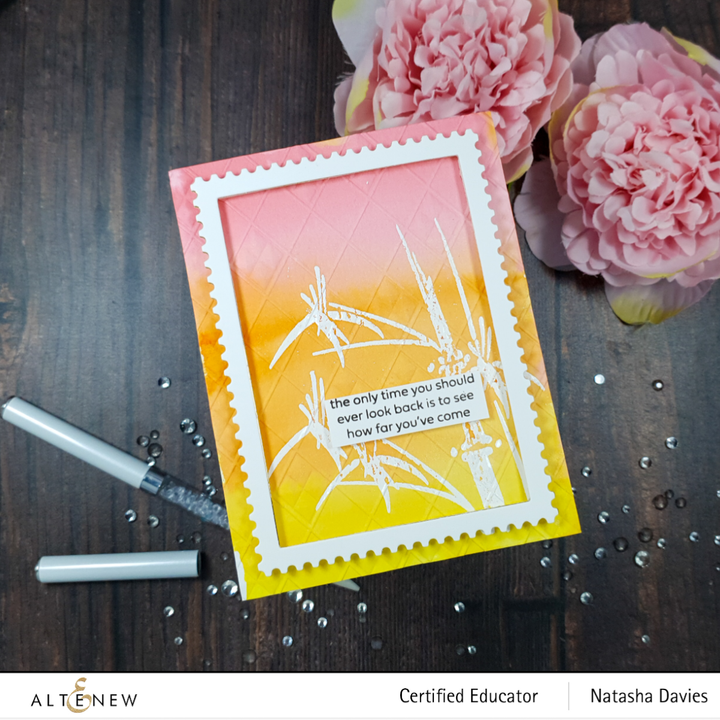 Stamp & Die Bundle Meadow Reflections