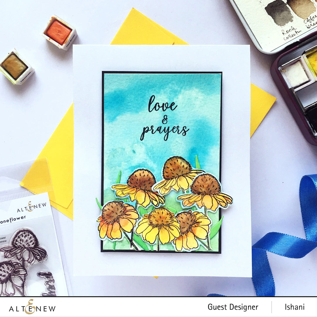 Stamp & Die Bundle Mini Coneflower