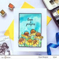 Stamp & Die Bundle Mini Coneflower