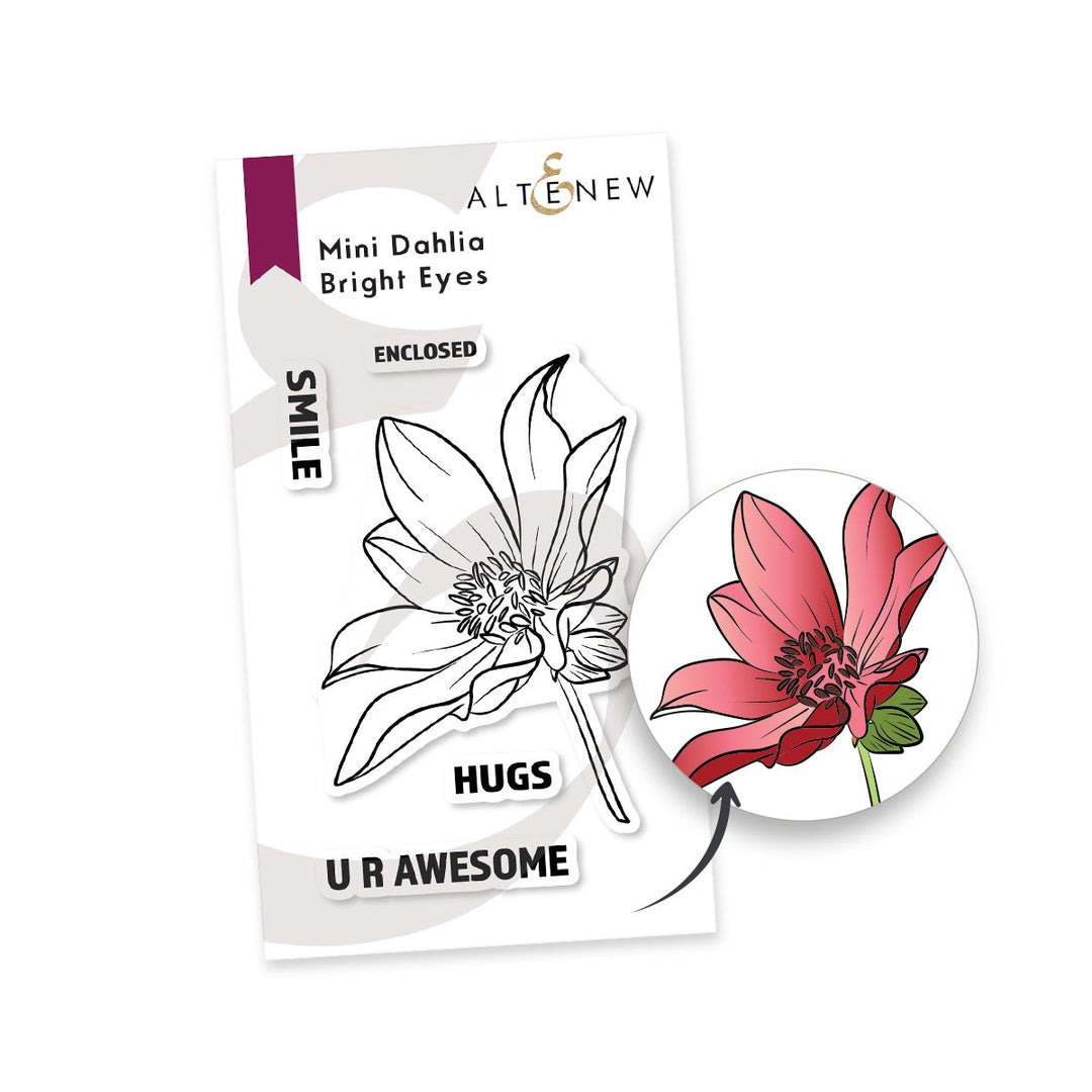 Stamp & Die Bundle Mini Dahlia Bright Eyes
