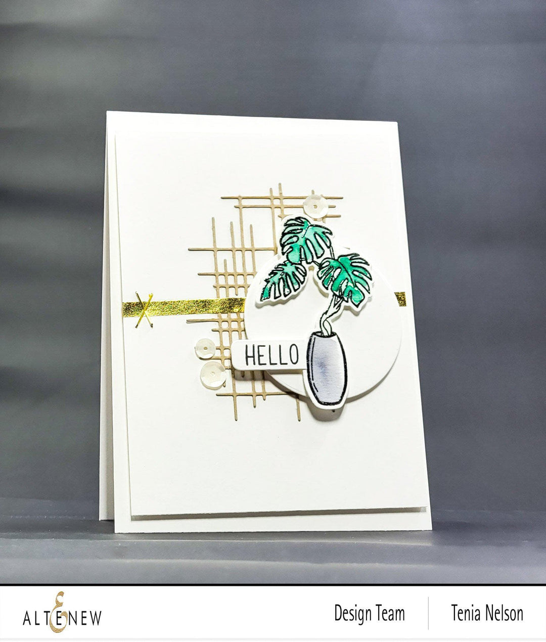Stamp & Die Bundle Monstera In Vase