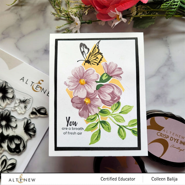 Stamp & Die Bundle Morning Flowers