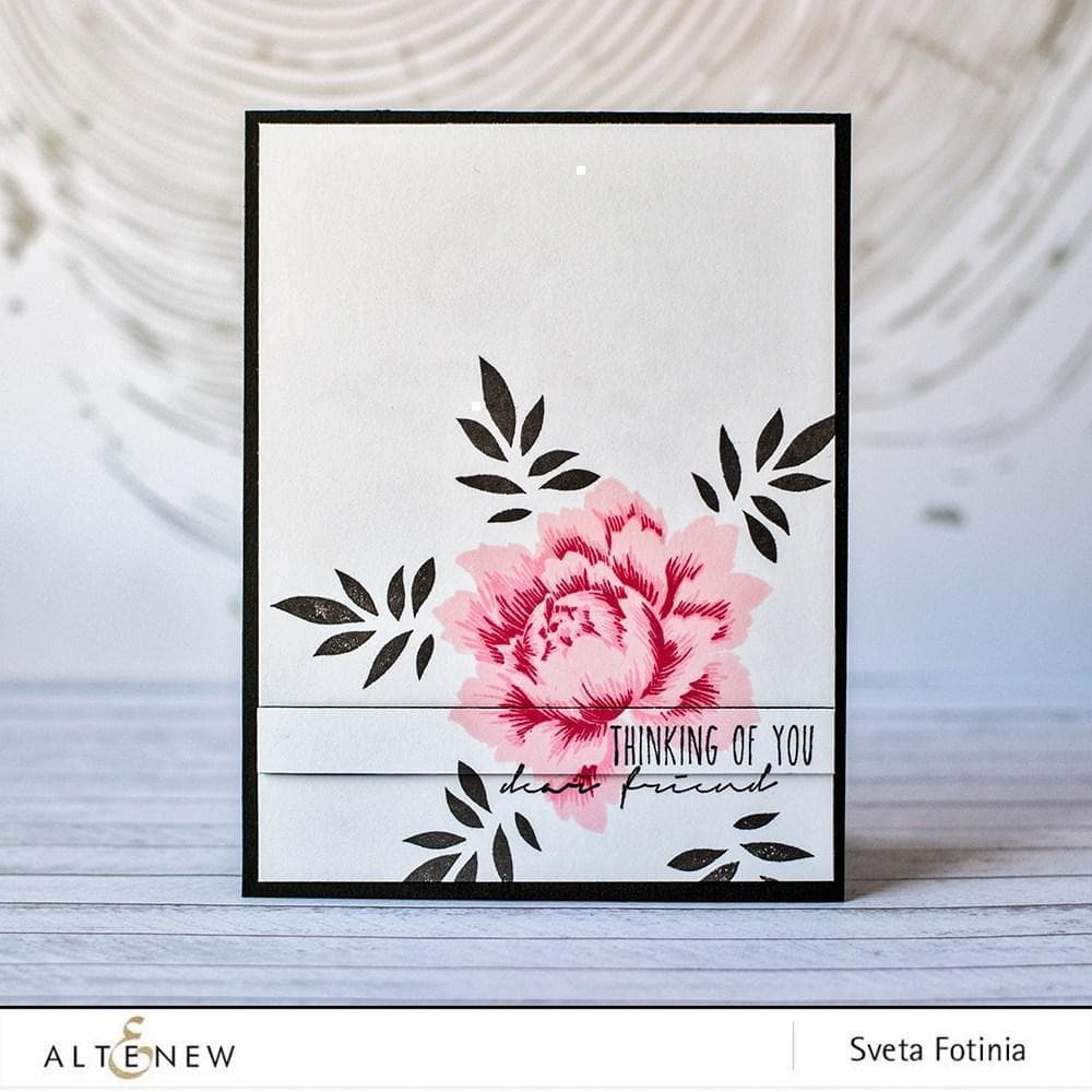 Stamp & Die Bundle Peony Bouquet