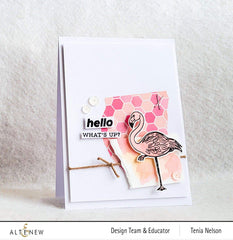 Stamp & Die Bundle Poised Flamingo