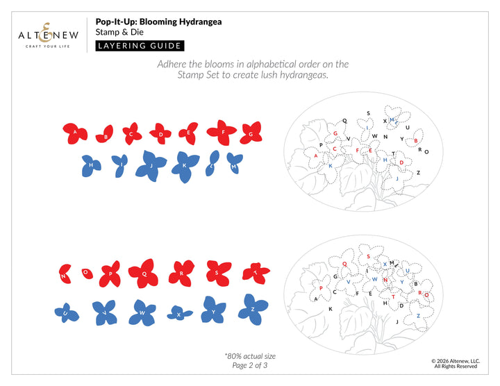 Stamp & Die Bundle Pop-It-Up: Blooming Hydrangea Stamp & Die Set