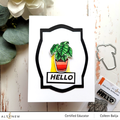 Stamp & Die Bundle Potted Succulent