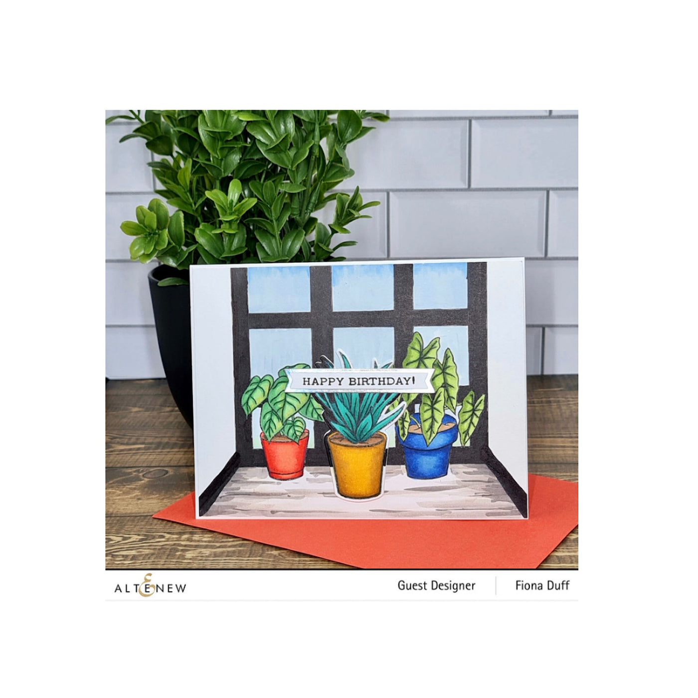 Stamp & Die Bundle Potted Succulent