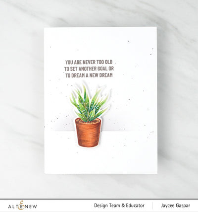 Stamp & Die Bundle Potted Succulent