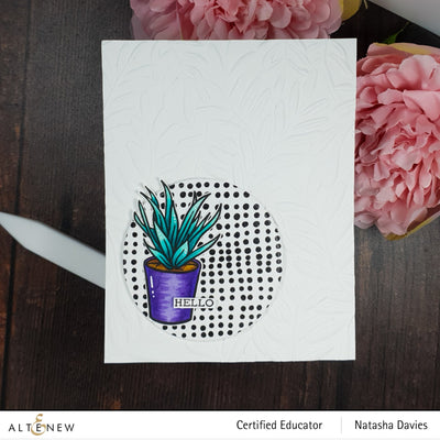 Stamp & Die Bundle Potted Succulent