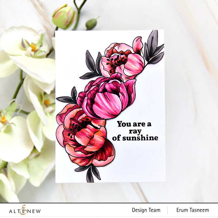 Stamp & Die Bundle Prim Peonies