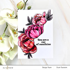 Stamp & Die Bundle Prim Peonies