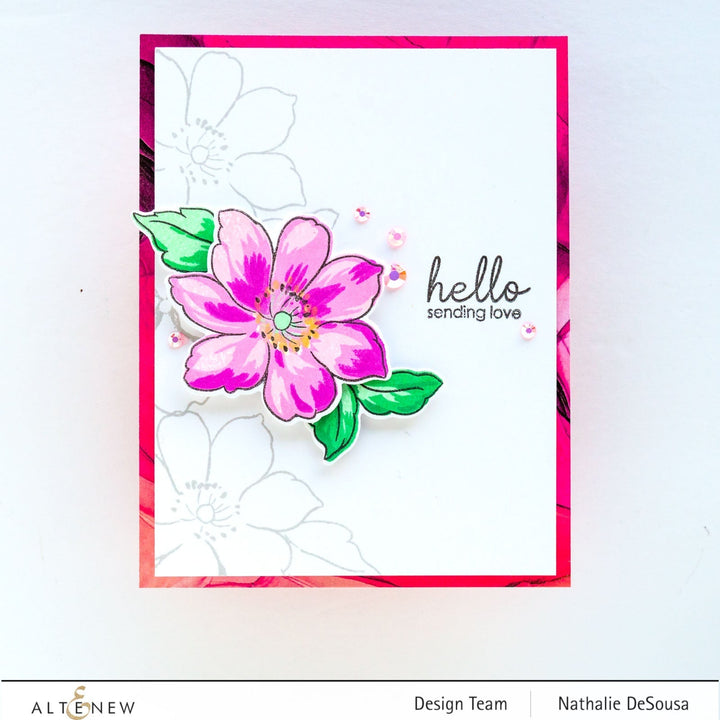 Stamp & Die Bundle Quaint Blooms