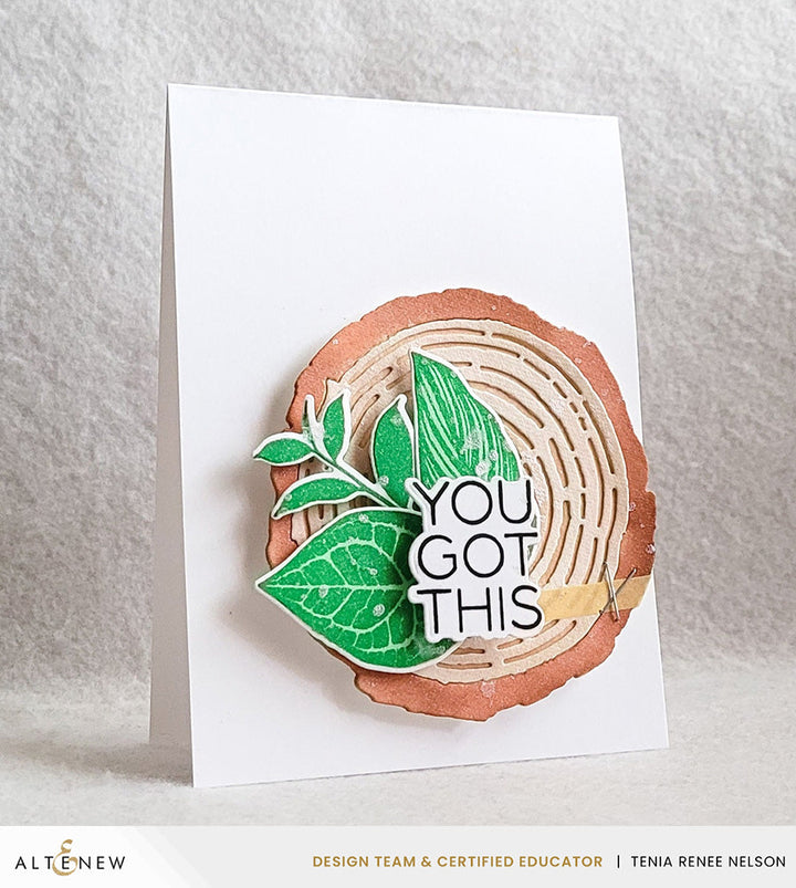 Stamp & Die Bundle Rainforest Leaves