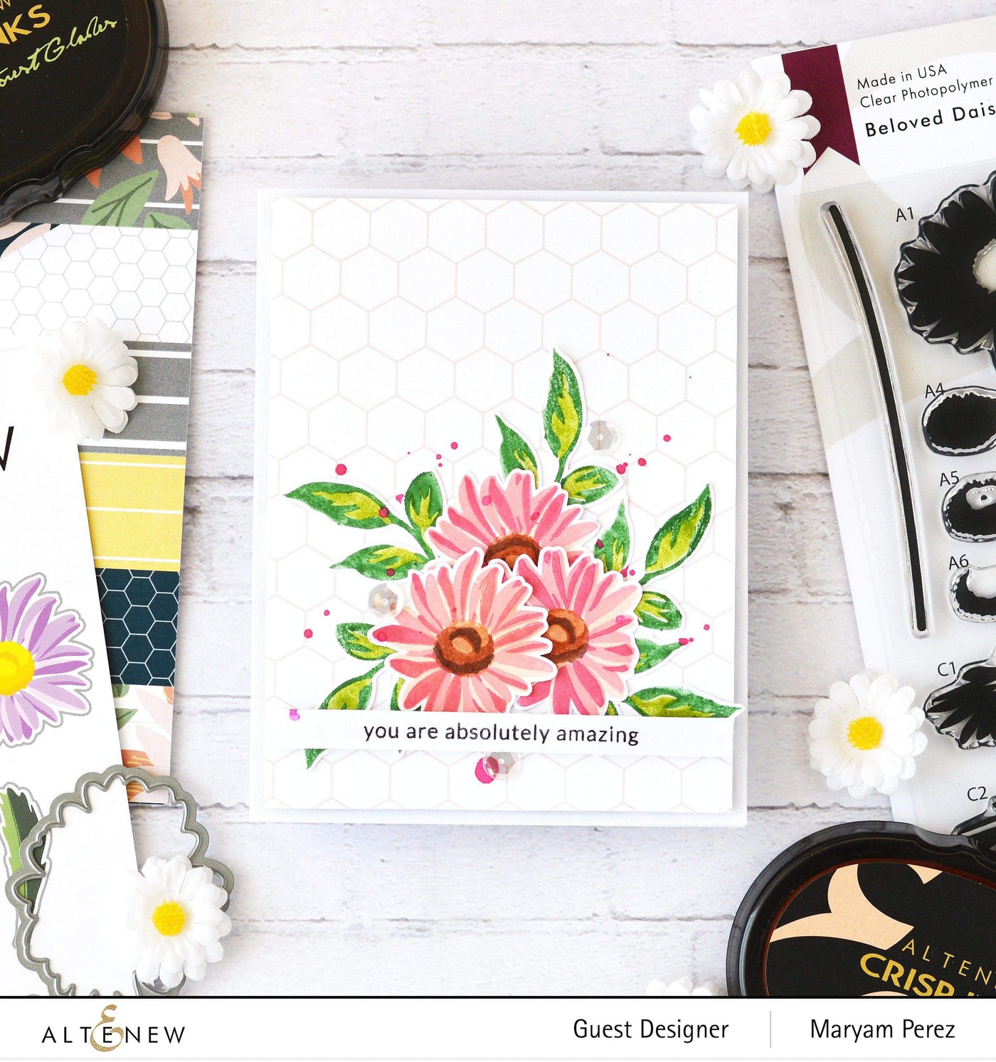 Stamp & Die Bundle Rose Spray